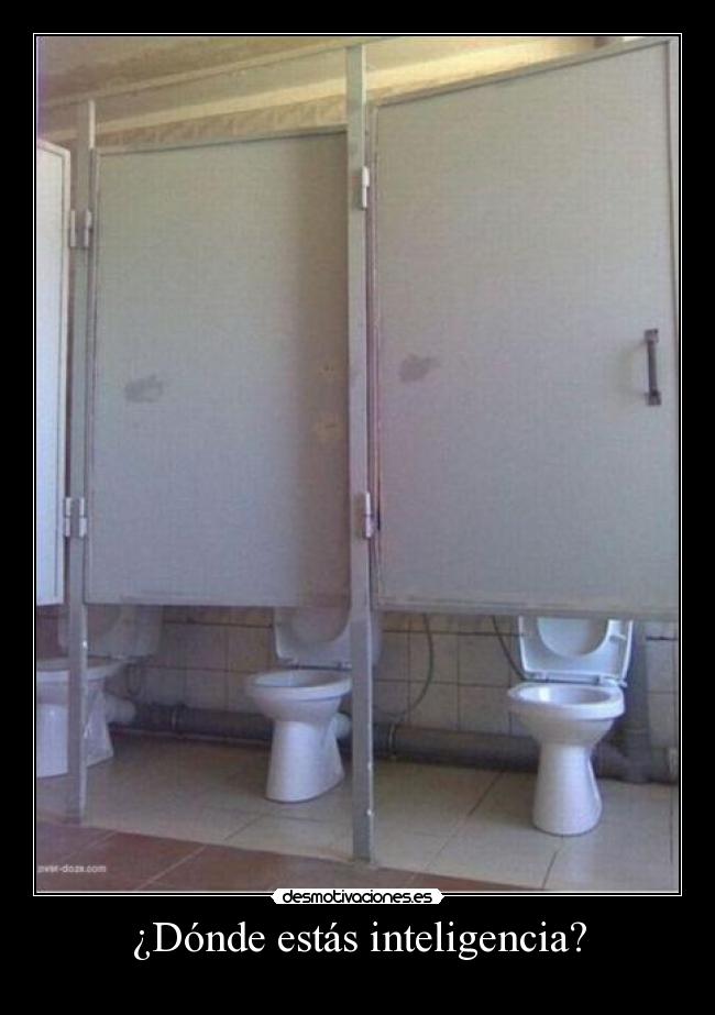 ¿Dónde estás inteligencia? -