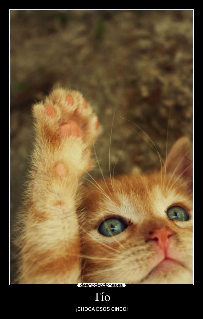 Tío - ¡CHOCA ESOS CINCO!