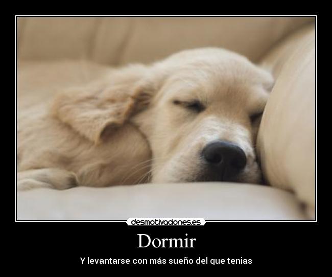 Dormir - 