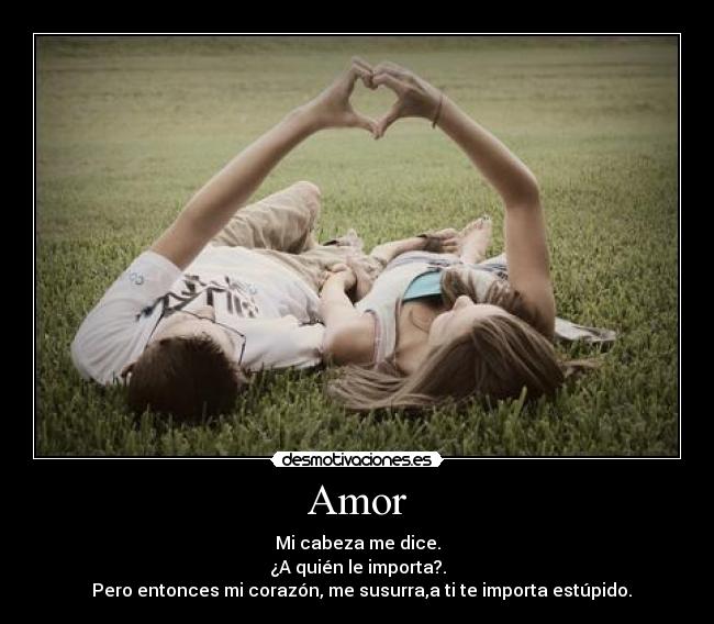 Amor - 
