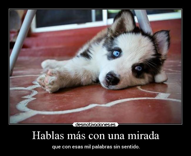 carteles decirte que quiero con locuraaaaaaaaaaaaaaa desmotivaciones