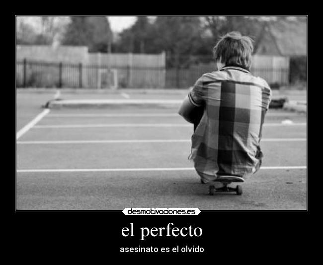 el perfecto - 