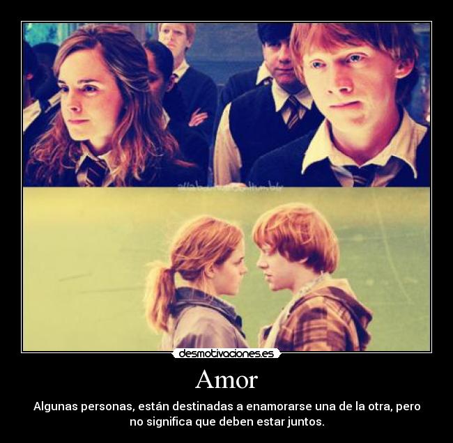 Amor - 