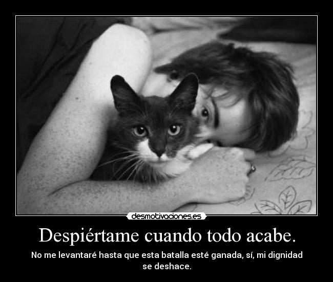 carteles dia del del las manana estare haciendo tecnologia putaputamierda desmotivaciones