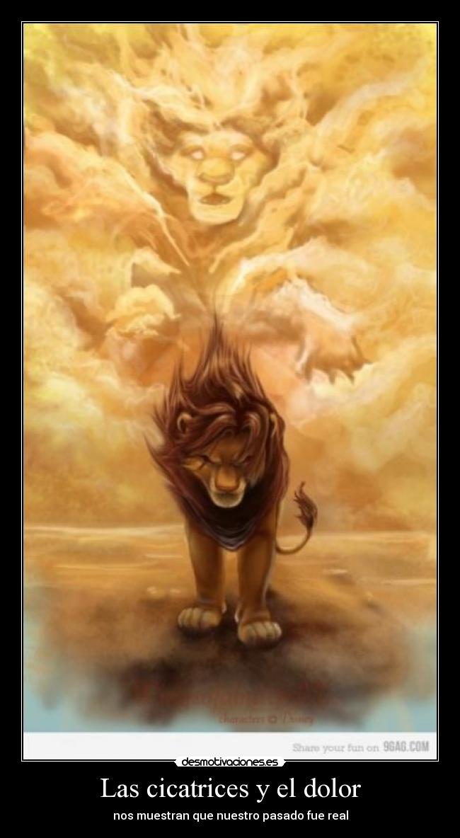 Las cicatrices y el dolor - 
