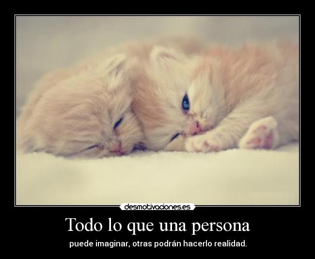 Todo lo que una persona -