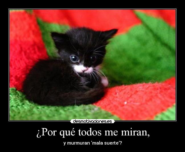 ¿Por qué todos me miran, - 