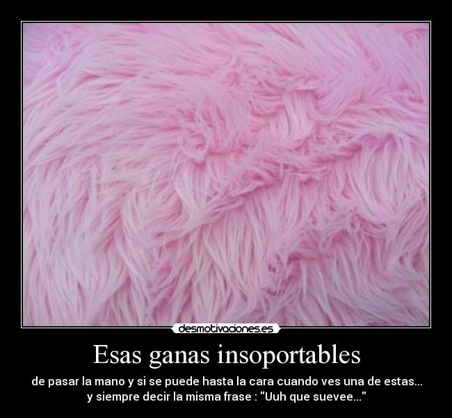 Esas ganas insoportables - de pasar la mano y si se puede hasta la cara cuando ves una de estas...
y siempre decir la misma frase : Uuh que suevee...