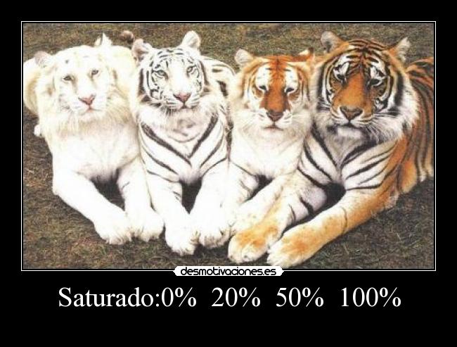Saturado:0%  20%  50%  100% - 