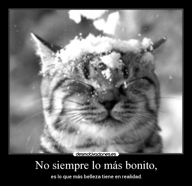 No siempre lo más bonito, - 
