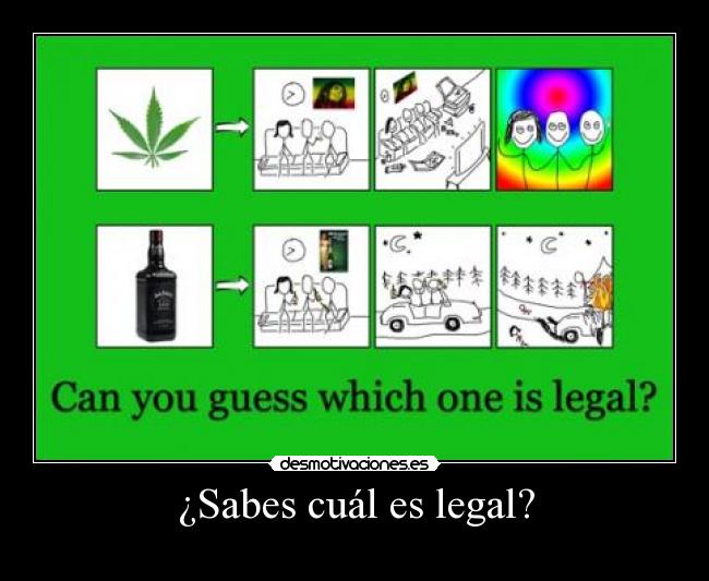 ¿Sabes cuál es legal? - 