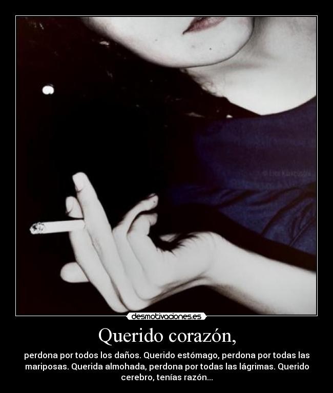 Querido corazón, - perdona por todos los daños. Querido estómago, perdona por todas las
mariposas. Querida almohada, perdona por todas las lágrimas. Querido
cerebro, tenías razón...