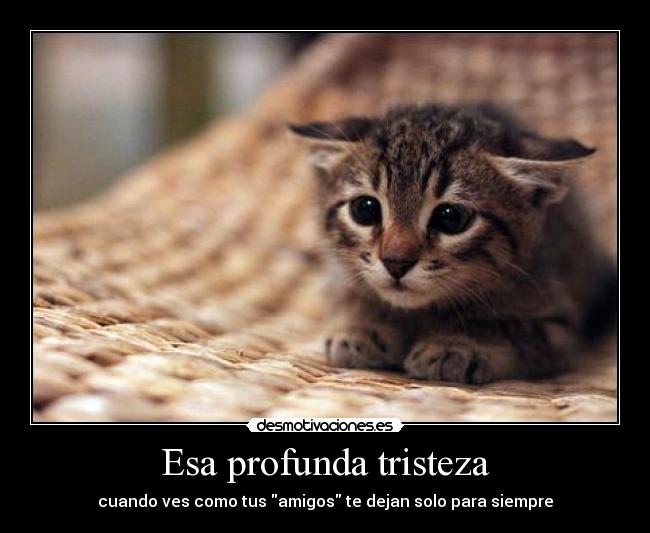 Esa profunda tristeza -