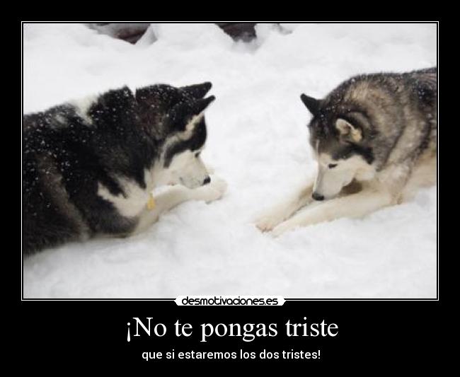 ¡No te pongas triste - que si estaremos los dos tristes!