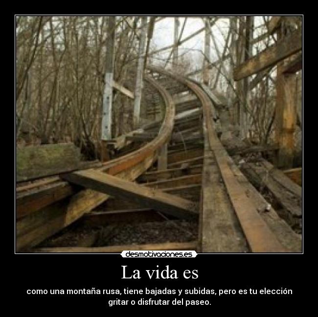 carteles vida montana rusa bajadas subidas eleccion gritar disfrutar paseo vida sergi16lc desmotivaciones