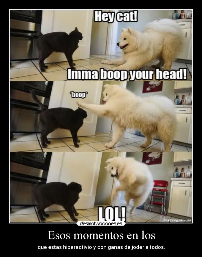 carteles hiperactivo desmotivaciones