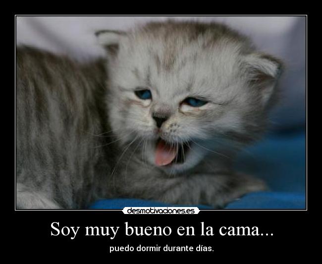 Soy muy bueno en la cama... - 