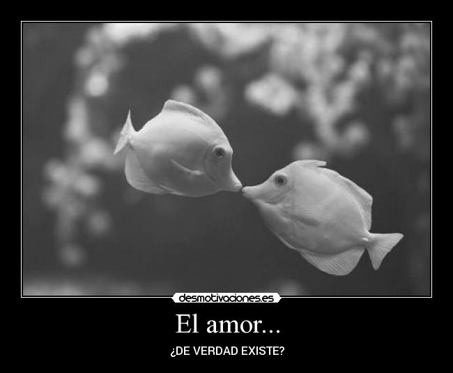 carteles amor fish desmotivaciones