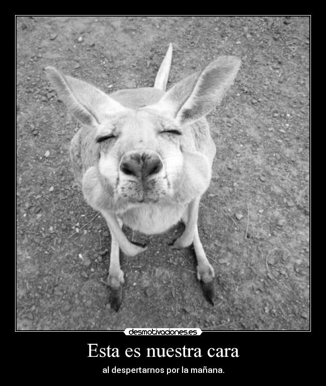 Esta es nuestra cara - al despertarnos por la mañana.