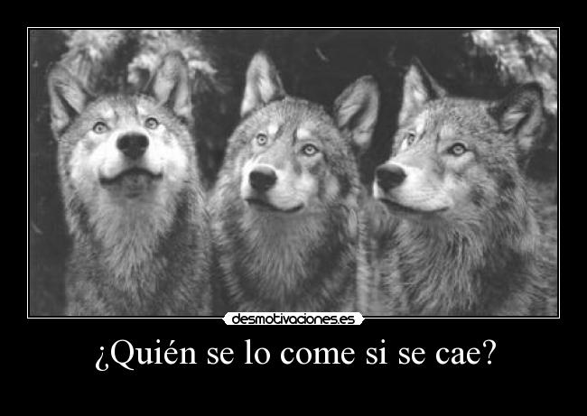 ¿Quién se lo come si se cae? -