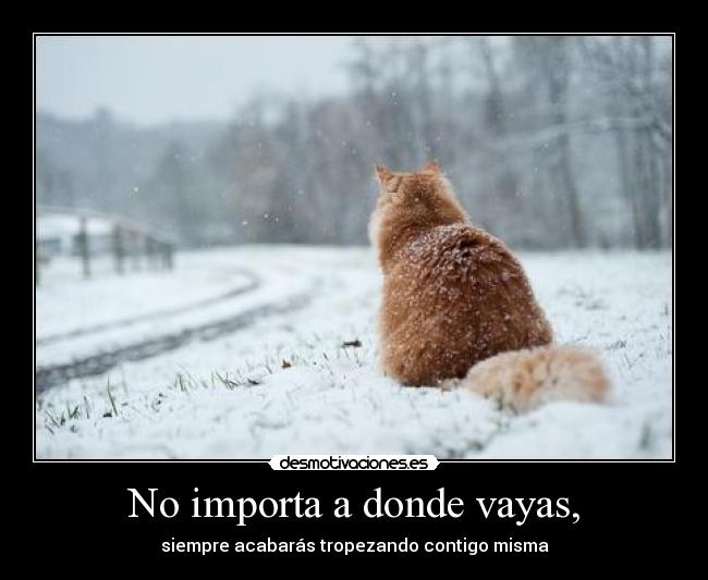 No importa a donde vayas, - 