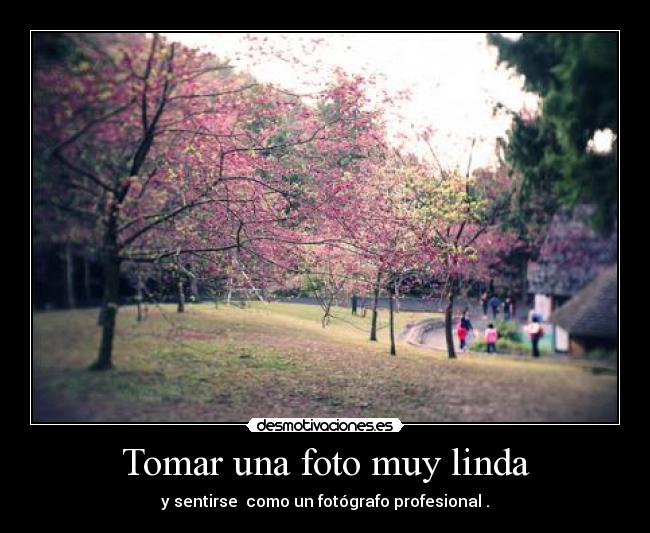 Tomar una foto muy linda -