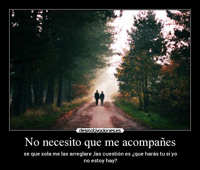 No necesito que me acompañes -