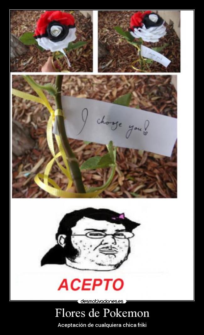 Flores de Pokemon - Aceptación de cualquiera chica friki
