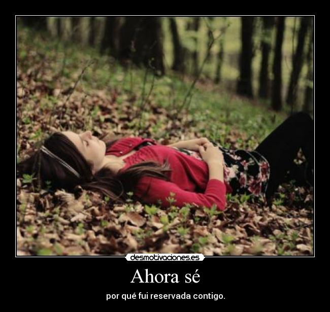 carteles edelweis escuchando nickelback desmotivaciones