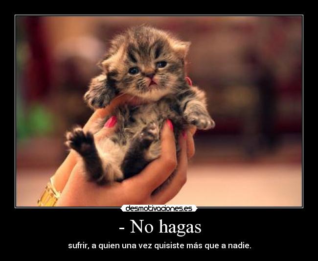 - No hagas - 