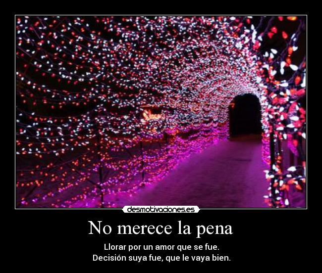 No merece la pena - Llorar por un amor que se fue.
Decisión suya fue, que le vaya bien.