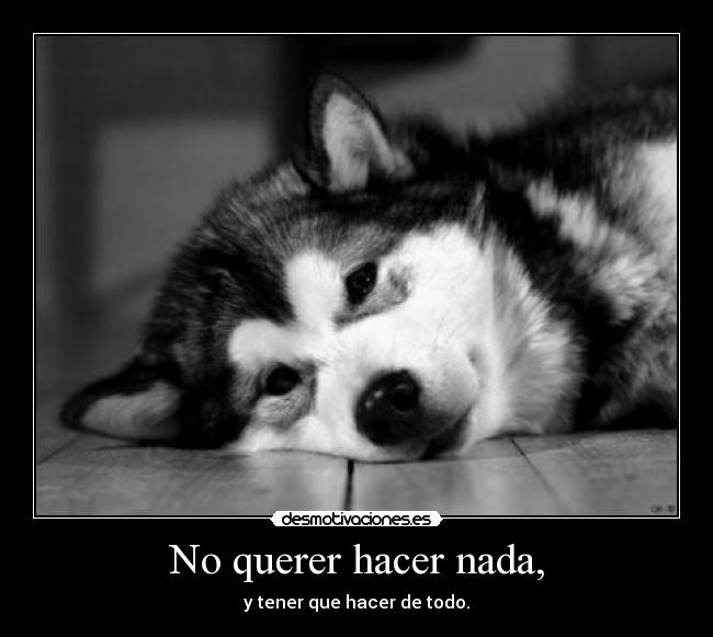 No querer hacer nada, - 