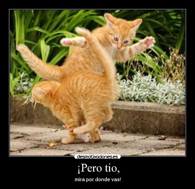 ¡Pero tio, - 