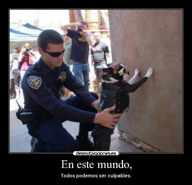 En este mundo, - Todos podemos ser culpables.