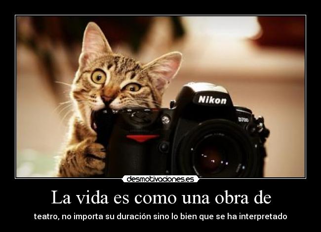 La vida es como una obra de - teatro, no importa su duración sino lo bien que se ha interpretado