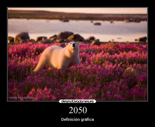 2050 - 