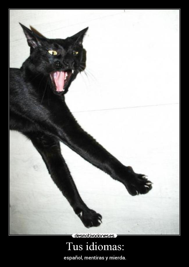 carteles espanol mentiras mierda desmotivaciones