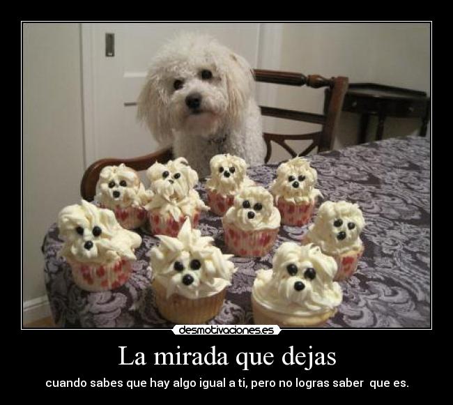 La mirada que dejas - cuando sabes que hay algo igual a ti, pero no logras saber  que es.