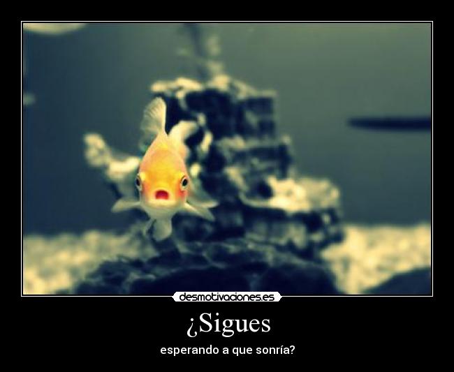 ¿Sigues -