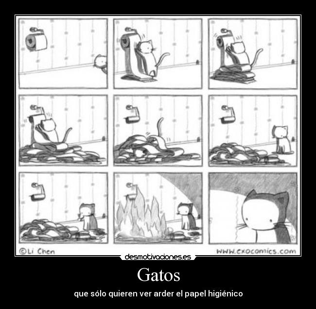 Gatos -