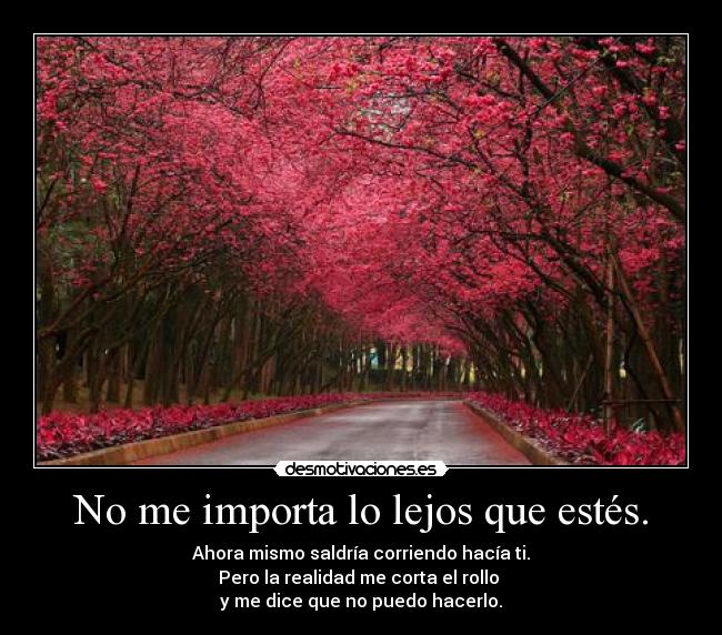 carteles joder por queeeeeeeeeeeeeeeeeeeeeeeeeeee desmotivaciones