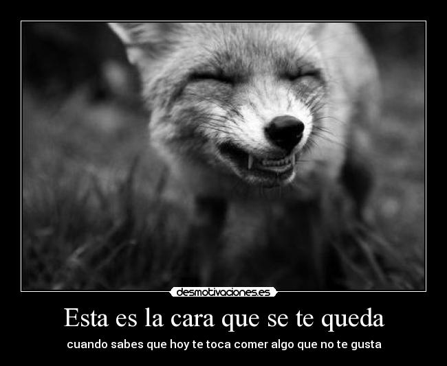 Esta es la cara que se te queda - cuando sabes que hoy te toca comer algo que no te gusta