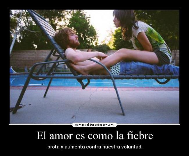 carteles amor stephy alvarado desmotivaciones