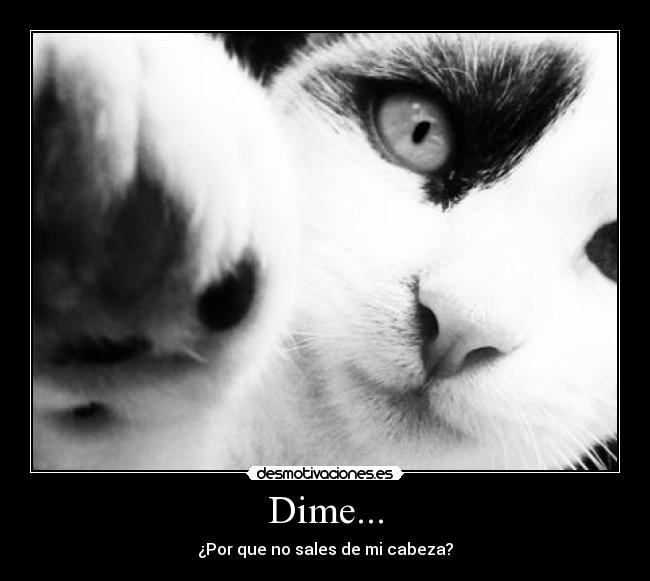Dime... - 