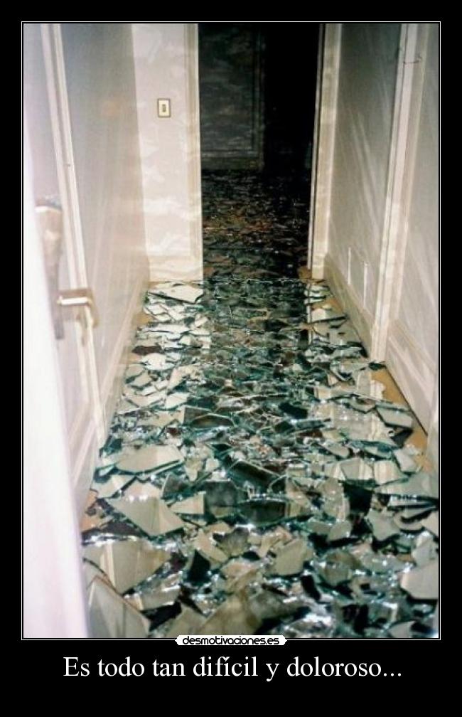 carteles nomiresaqui elclanviral toslocos lilyjames call name desmotivaciones