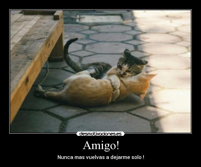 Amigo! -