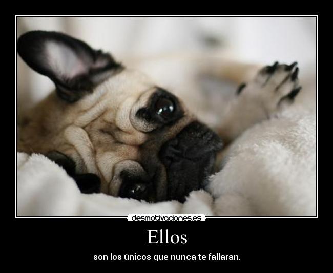 Ellos -