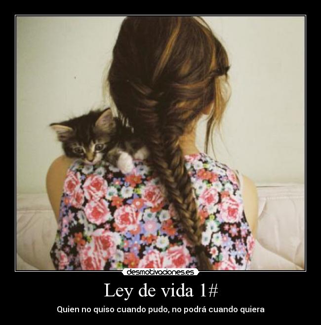 Ley de vida 1# -