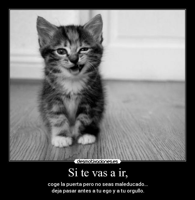 Si te vas a ir, - coge la puerta pero no seas maleducado...
deja pasar antes a tu ego y a tu orgullo.