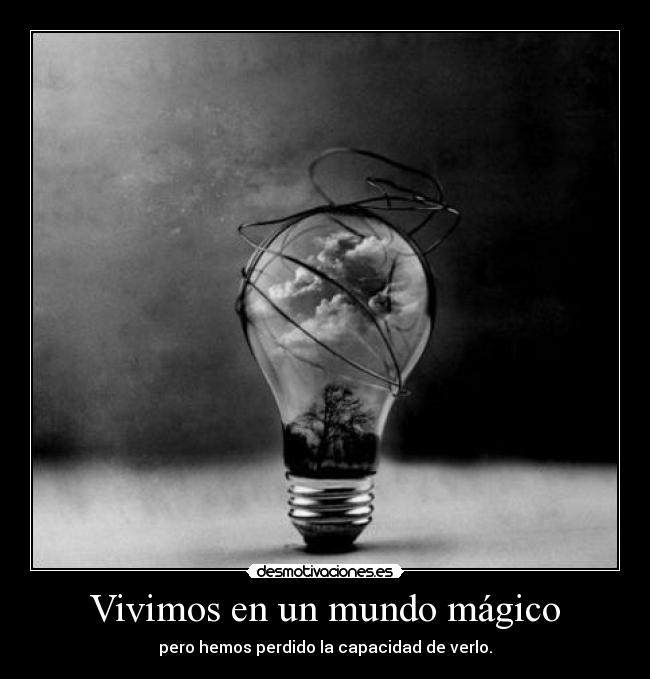 Vivimos en un mundo mágico - pero hemos perdido la capacidad de verlo.